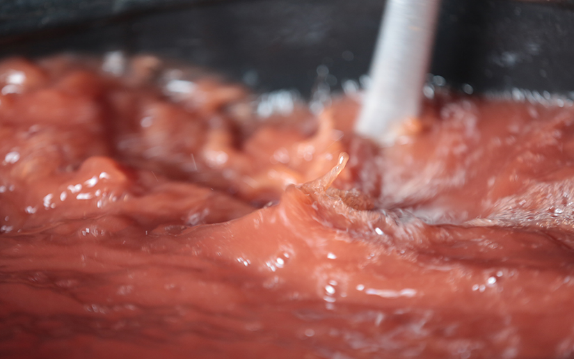 agostinas1